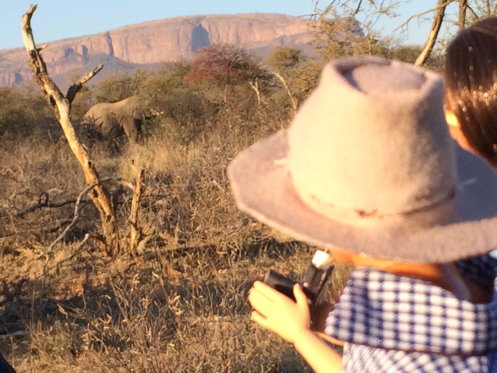 photographing elephant 1
