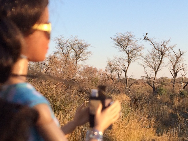 Photographing magnificent fishing eagles.JPG