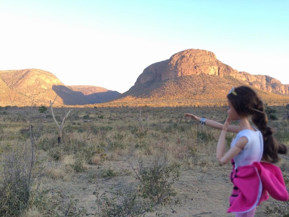 Spotted a herd of 10 rhino!.jpg