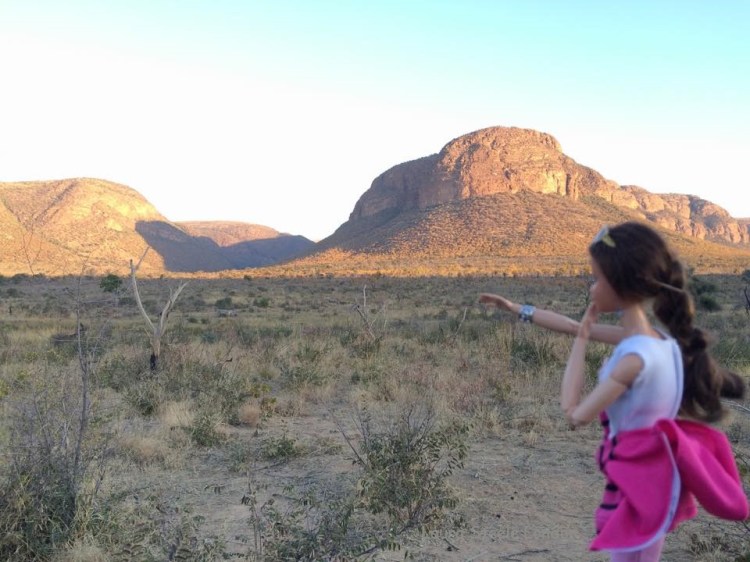 Spotted a herd of 10 rhino!.jpg