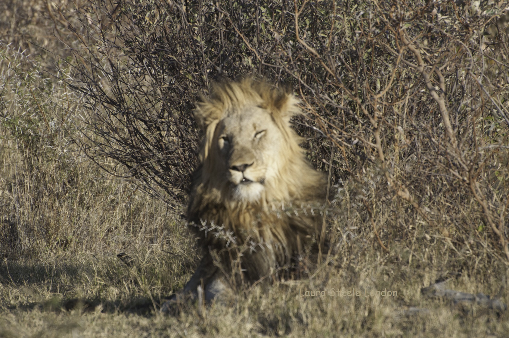 Utter handsomeness.jpg