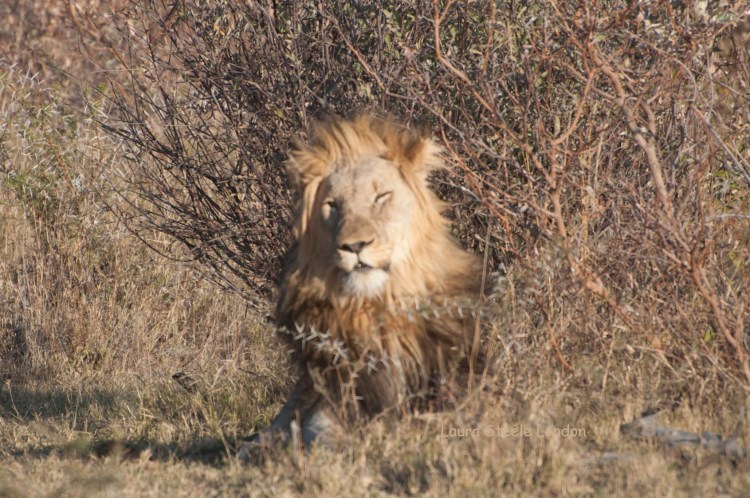 Utter handsomeness.jpg